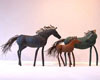 Horses - Paul Burke
